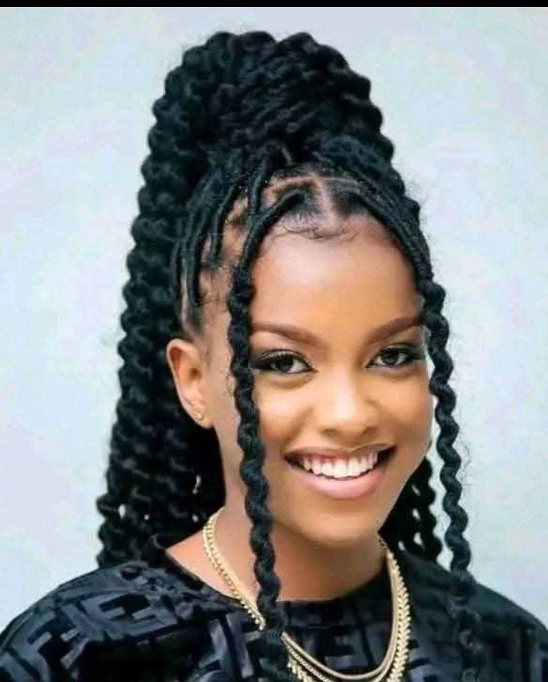 Butterfly Faux Locs High Ponytail